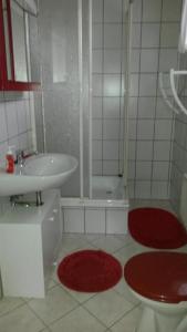ein Badezimmer mit Waschbecken und Dusche und roten Teppichen in der Unterkunft Ferienhaus "Lilienstein" in Prossen