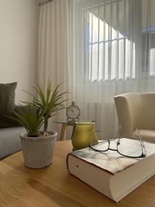 Posezení v ubytování Haus Mondelli + 27 fotografií