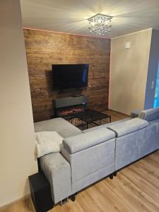 a living room with a couch and a flat screen tv at Abbey View Suites in Echternacherbrück