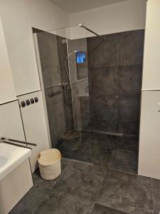 a bathroom with a shower with a glass door at Abbey View Suites in Echternacherbrück