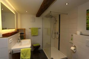 ein Badezimmer mit Dusche und Waschbecken in der Unterkunft Maierhof in Bernau im Schwarzwald