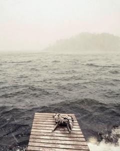 a group of birds sitting on a dock in the water at Archipelago Hideaway - Oasis on the Sea in Värmdö