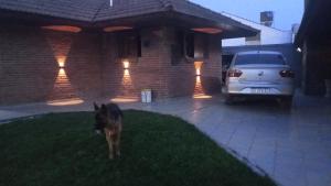 Domácí mazlíčci ubytovaní s hosty v ubytování Chalet constitución