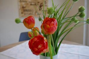 un vase rempli de fleurs rouges et jaunes sur une table dans l'établissement Ober Langengarten, à Pittenbach 32 autres photos