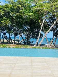 Puerto PlataMarien Residences 222 Gardenview Condo的一片蓝色的排球场，背景是树木。