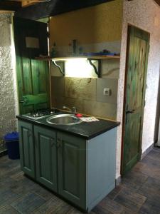 Η κουζίνα ή μικρή κουζίνα στο Sommersprosse Terase +23 φωτογραφίες