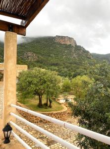 Loodusmaastik külalistemaja lähedal +36 fotot