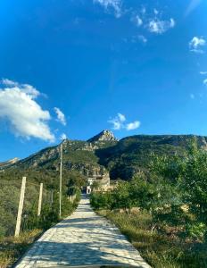 a road with a mountain in the background at Dar Nesri in Zaghouan +36 photos