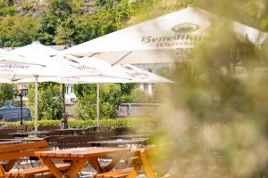 Κήπος έξω από το Villa Keller by Erasmus