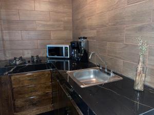 a kitchen with a sink and a microwave at Casa Stone Laja in Guadalajara +28 photos