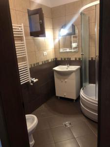 Koupelna v ubytování Pensiunea Dealul Miristei Fundata + 4 fotografie