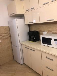 Kuchyň nebo kuchyňský kout v ubytování Pensiunea Dealul Miristei Fundata