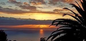 Příroda nedaleko prázdninového domu