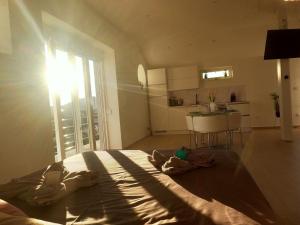 a bedroom with a bed with the sun shining through the window at Modernes Ferienhaus Mit Eigenem Pool Und Meerblick in Bilice