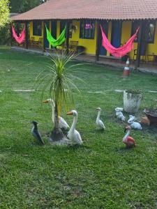 Zahrada ubytování Pousada Araquari Hostel