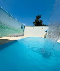 un bassin d'eau avec un palmier en arrière-plan dans l'établissement Pousada Caminho das Águas, à Santo Amaro