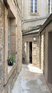 Une allée dans un vieux bâtiment avec une plante en pot dans l'établissement Calm and central apartment, à Quimper