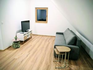 un soggiorno con divano e TV di Le Douillet 20' Strasbourg logement neuf CLIM a Marlenheim