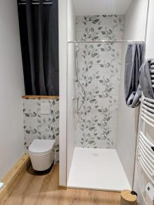 Koupelna v ubytování Le Douillet 20' Marché Noël Strasbourg en bus + 6 fotografií