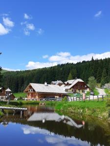 eine Blockhütte neben einem Fluss mit einem Haus in der Unterkunft Großzügiges Ferienhaus mit Sauna und Whirlpool in Lachtal