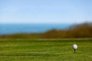 Γήπεδο γκολφ σε αυτό το διαμέρισμα ή στη γύρω περιοχή