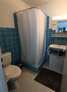 ein Badezimmer mit Toilette, Dusche und Waschbecken in der Unterkunft Ferienwohnung Falknis in Maienfeld mit Blick auf die Berge - b48844 in Maienfeld