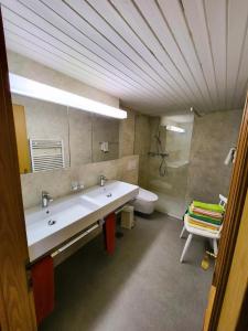 a bathroom with a large sink and a toilet at Chalet Lilo Big View in Beatenberg +22 photos