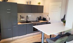 Η κουζίνα ή μικρή κουζίνα στο Amadeus Apartment