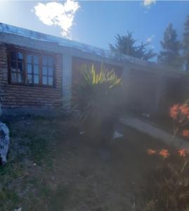 Zahrada ubytování MZD alquiler