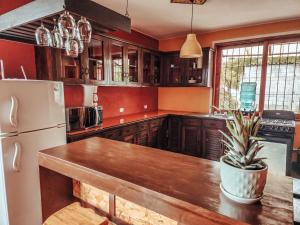 Kuchyň nebo kuchyňský kout v ubytování Bring Beer, bring drama + 26 fotografií