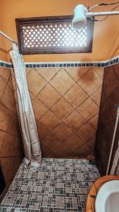 Ένα μπάνιο στο Bring Beer, bring drama +30 φωτογραφίες