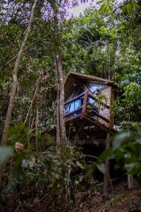 Příroda nedaleko chaty + 29 fotografií