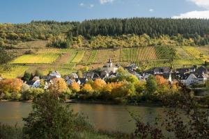 une ville à côté d'une rivière à côté d'un vignoble dans l'établissement Haus Budinger, à Alf