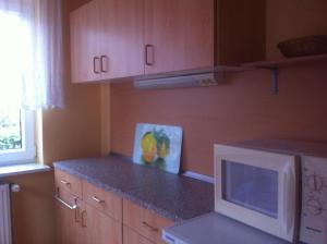 eine Küche mit Mikrowelle und einem Gemälde auf der Arbeitsplatte in der Unterkunft Ferienwohnung Landmannsruh in Lubmin