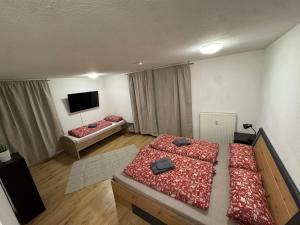 a large room with two beds and a flat screen tv at City Apart am MUSEUM nahe BADEWELT in Sinsheim