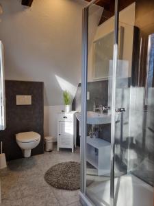 une salle de bains avec douche, toilettes et lavabo dans l'établissement Ferienhaus Marie 125, à Bad Arolsen