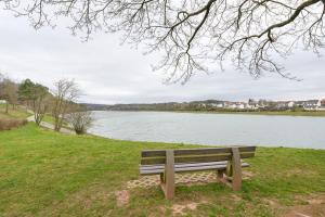 un banc en bois assis dans l'herbe à côté d'un lac dans l'établissement Schönes Ferienhaus Am Twistesee, à Bad Arolsen