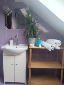 ein Badezimmer mit einem Waschbecken und einer Topfpflanze in der Unterkunft Leśny Domek in Piłka