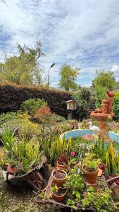 un jardín con muchas macetas de plantas y flores en Refugio tornasol, en Duitama