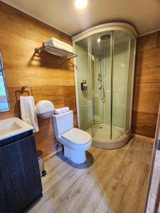 ein Badezimmer mit Dusche, Toilette und Waschbecken in der Unterkunft suites puerto varas camino al corazon in Puerto Varas