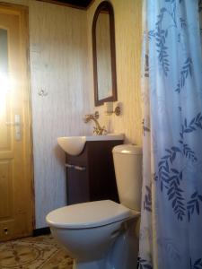 a bathroom with a toilet and a sink at Kozí Dvor Rohozná in Brezno