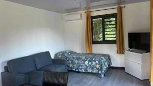a living room with a couch and a tv at HUAHINE- Fare Montagne in Parea
