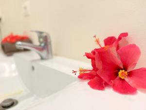 a red flower sitting on top of a bathroom sink at Studio with a view of a heavenly lagoon in Bora Bora +37 photos