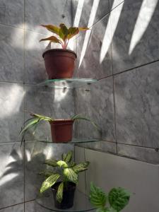 Fotografie z fotogalerie ubytování Casa de temporada v destinaci Juazeiro do Norte