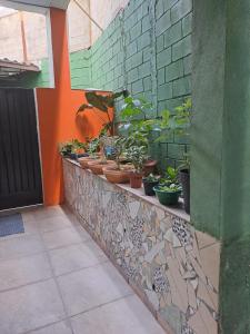 une rangée de plantes en pot sur un mur de briques dans l'établissement Condominio Merces, à Belo Horizonte