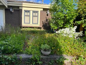 Vườn quanh Private Guesthouse Next to Mall & Skytrain +1 ảnh