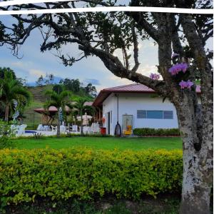 a white house with a tree in the yard at Hotel Takuara in Vergara