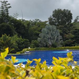 Πισίνα στο ή κοντά στο Hotel Takuara