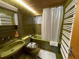 ein Badezimmer mit Waschbecken, Toilette und Dusche in der Unterkunft Chalet Hofer - 5-Bettwohnung in Hasliberg Wasserwendi + 10 Fotos