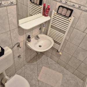 a bathroom with a sink and a toilet at Livno Sympan in Livno